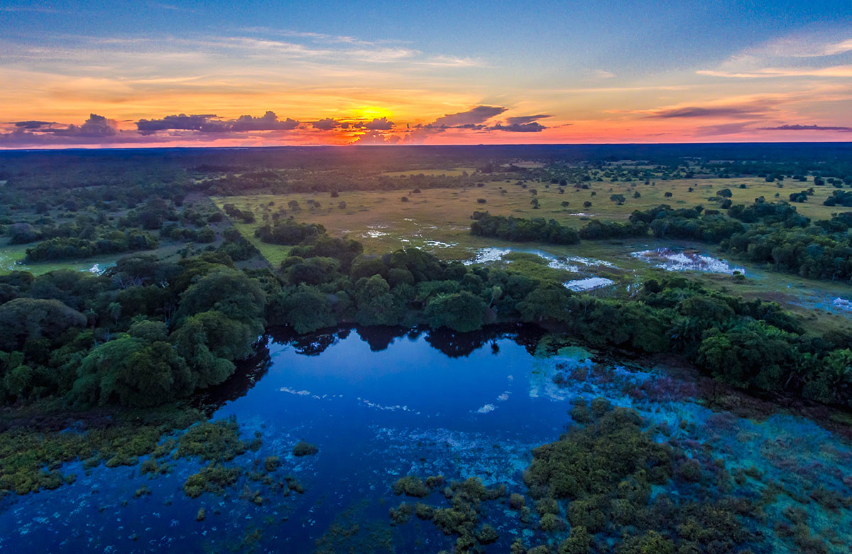 Pousada no Pantanal - Pousada Pequi
